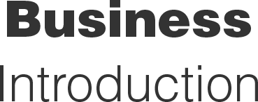 Business Introduction